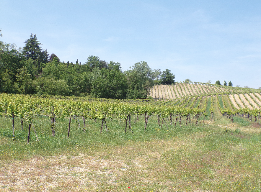 Schermata 2023-05-07 alle 11.51.46