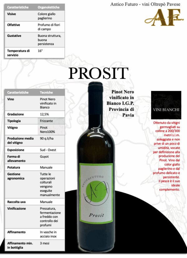 Prosit - Pinot Nero frizzante - immagine 4